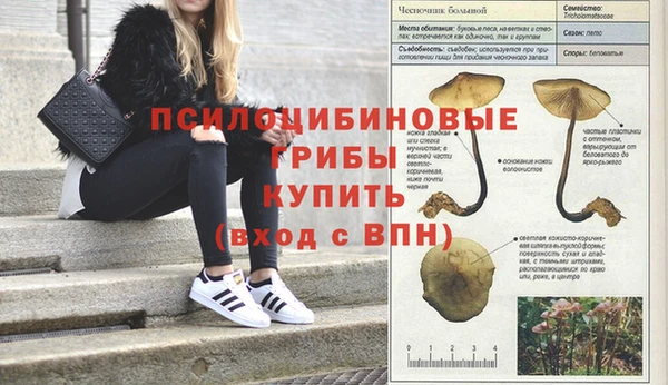 винт Протвино