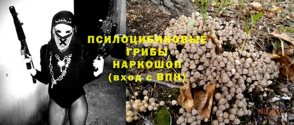 винт Протвино