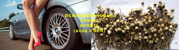 мяу мяу кристалл Приозерск
