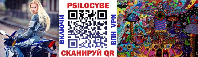 Псилоцибиновые грибы мицелий  Купить закладки  Рошаль 